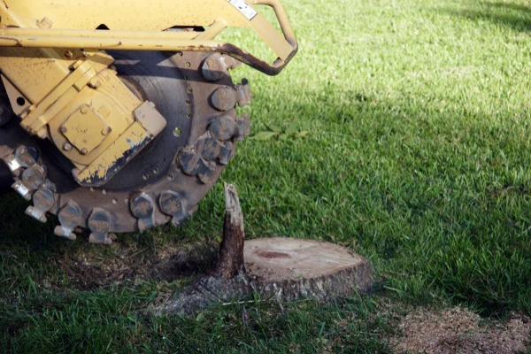 Tree Stump Grinding